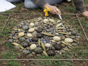 Cultivos de cobertura: mezclas de semillas